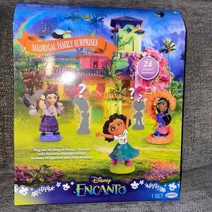 Disney Encanto 24 Days of Surprises w/ entire Family 🪄